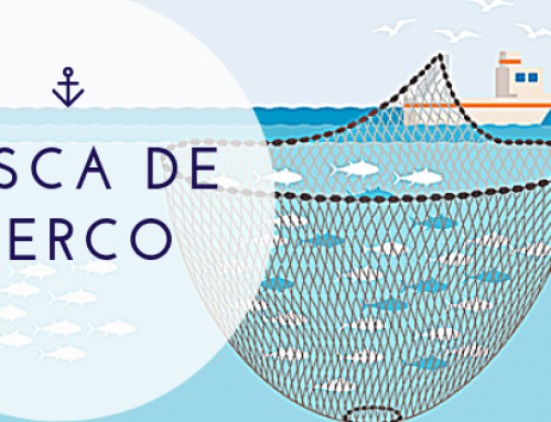 Pesca de Cerco